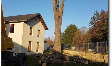 Uni'Vert Paysage Élagage d'un arbre collé à une maison individuelle Nevers